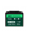 GREEN CELL Battery AGM 12V 44 Ah - nr 15