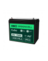 GREEN CELL Battery AGM 12V 75 Ah - nr 24