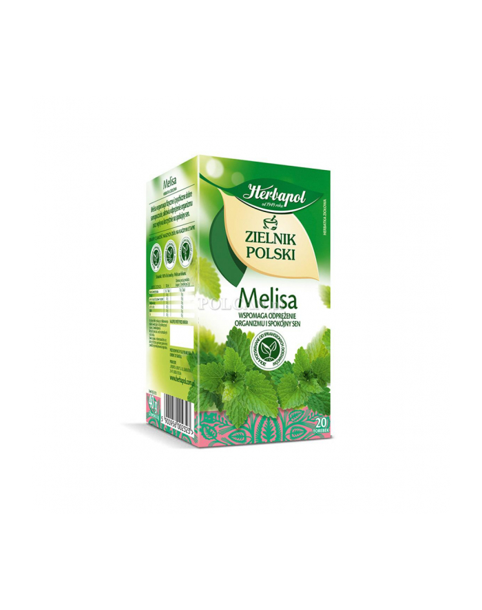 Herbata ziołowa Herbapol Melisa 20szt główny