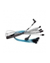 Broadcom U2 Enabler Cable  HD (SFF8643) to (SFF-8639) 1M - nr 4