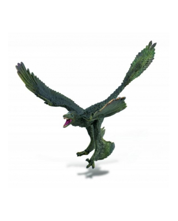 Dinozaur Microraptor 88875 COLLECTA