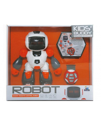 adar Robot RC 525788
