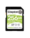 kingston Karta pamięci SD 256GB Canvas Select Plus R100MB/s - nr 1