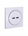 Fibaro gniazdo z podwójną ładowarką USB - nr 1