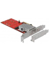 DeLOCK PCIe x8> 2x int. NVMe M.2 Key M LP, adapters - nr 2