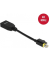 DELOCK Mini DisplayPort 1.4 to DisplayPort adapter with latch 8K 60 Hz - nr 6