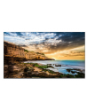 samsung Monitor wielkoformatowy 75 cali  QE75T LH75QETELGCXEN - nr 1