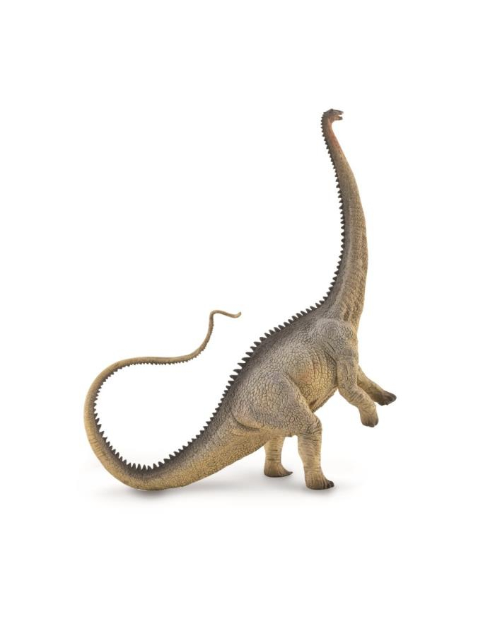 Dinozaur Diplodok 88896 COLLECTA główny