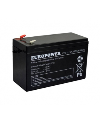europower Akumulator EV 12V 9Ah