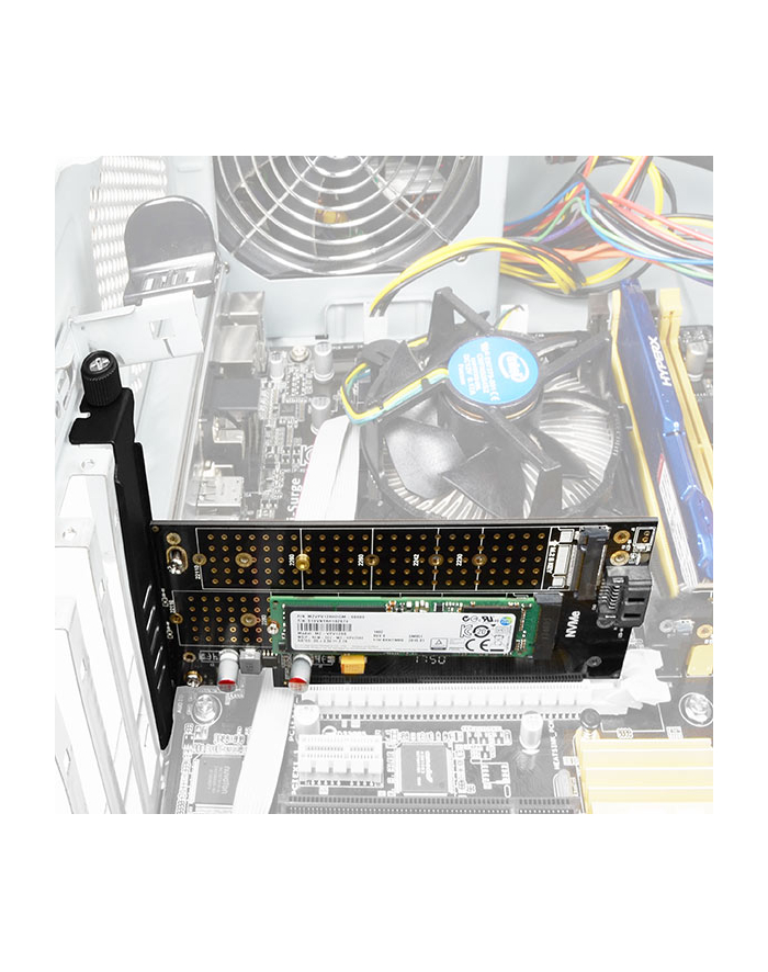 AXAGON PCEM2-D, adapter wewnętrzny PCIe x4 - M.2 NVMe M-key + SATA B-key slot, LP główny