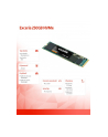 kioxia Dysk SSD Exceria 250GB NVMe 1700/1200Mb/s 2280 - nr 3