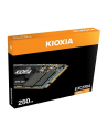 kioxia Dysk SSD Exceria 250GB NVMe 1700/1200Mb/s 2280 - nr 5