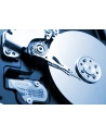 toshiba europe TOSHIBA S300 Surveillance Hard Drive 2TB 3.5inch BULK - nr 8