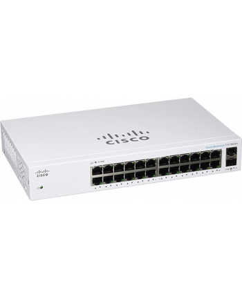 CISCO CBS110 Unmanaged 24-port GE Switch