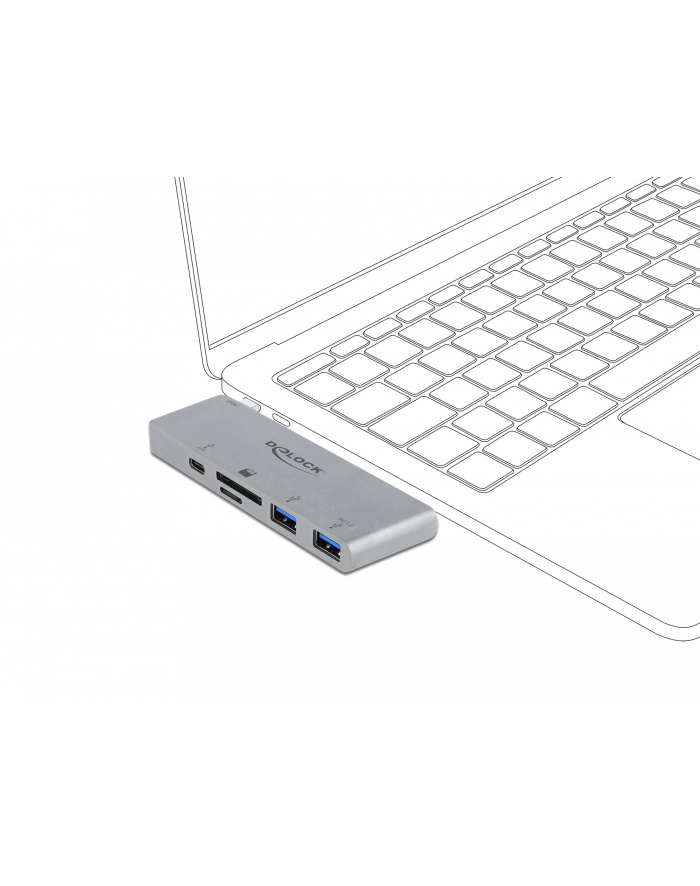 DeLOCK 3 port hub and 2 slot card readers, card readers (silver, USB-C 3.2 Gen 1) główny