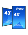 iiyama LH4342UHS-B1 - 43 - Public Display (black, UltraHD / 4K, System Android, IPS) - nr 32