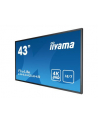 iiyama LH4342UHS-B1 - 43 - Public Display (black, UltraHD / 4K, System Android, IPS) - nr 35