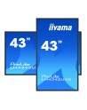 iiyama LH4342UHS-B1 - 43 - Public Display (black, UltraHD / 4K, System Android, IPS) - nr 43