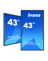 iiyama LH4342UHS-B1 - 43 - Public Display (black, UltraHD / 4K, System Android, IPS) - nr 54