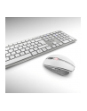 CHERRY DW 9000 SLIM, desktop set (silver / white) - nr 2