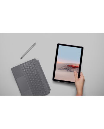 Microsoft Surface Go 2 Commercial, tablet PC (platinum / grey, Windows 10 Pro, 256GB, LTE)