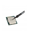 Thermal Grizzly Conductonaut 5 g, thermal paste and pads (silver) - nr 1