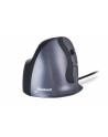 Evoluent VerticalMouse D, mouse (black / silver, medium, RH) - nr 13