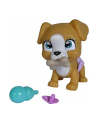 Simba Pamper Petz dog - 105953050 - nr 1