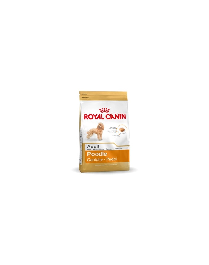 ROYAL CANIN Poodle 1 5kg główny