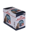 ROYAL CANIN Hairball Care in Gravy - saszetka 85g - nr 1