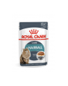 ROYAL CANIN Hairball Care in Gravy - saszetka 85g - nr 4