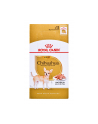 ROYAL CANIN Chihuahua - pakiet 12x85g - nr 3