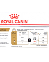 ROYAL CANIN Chihuahua - pakiet 12x85g - nr 4