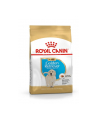 ROYAL CANIN Golden Retriever Puppy 3kg - nr 1