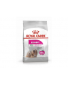 ROYAL CANIN Mini Exigent 3kg - nr 3