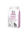 Brit Care Mini Grain Free Yorkshire 2kg - nr 2