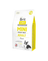 Brit Care Mini Grain Free Adult Lamb 2kg - nr 2