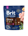 BRIT Premium by Nature ADULT S 1kg - nr 1