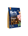 BRIT Premium by Nature ADULT M 3kg - nr 2