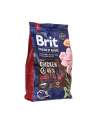 BRIT Premium by Nature ADULT L 3kg - nr 2