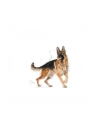 ROYAL CANIN German Shepherd 11kg - nr 4