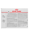 ROYAL CANIN Intestinal Gastro Moderate Cat 12x85g - nr 2