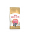 ROYAL CANIN British Shorthair Kitten 0 4kg - nr 1