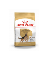 ROYAL CANIN German Shepherd 11kg - nr 3