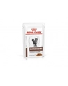 ROYAL CANIN Intestinal Gastro Moderate Cat 12x85g - nr 5