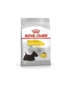 ROYAL CANIN Mini Dermacomfort - karma sucha dla psów dorosłych ras małych o wrażliwej skórze  skłonnej do podrażnień - 3kg - nr 3
