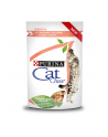 purina nestle CAT CHOW SENSITIVE GiG Łosoś Cukinia w sosie 85g - nr 1