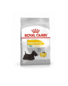 ROYAL CANIN Mini Dermacomfort - karma sucha dla psów dorosłych ras małych o wrażliwej skórze  skłonnej do podrażnień - 3kg - nr 1