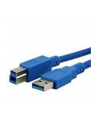 Kabel USB 3.0 MediaRange MRCS150 AM/BM, 5m, niebieski - nr 2