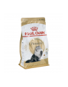 Karma Royal Canin Persian 30 (0 40 kg ) - nr 1
